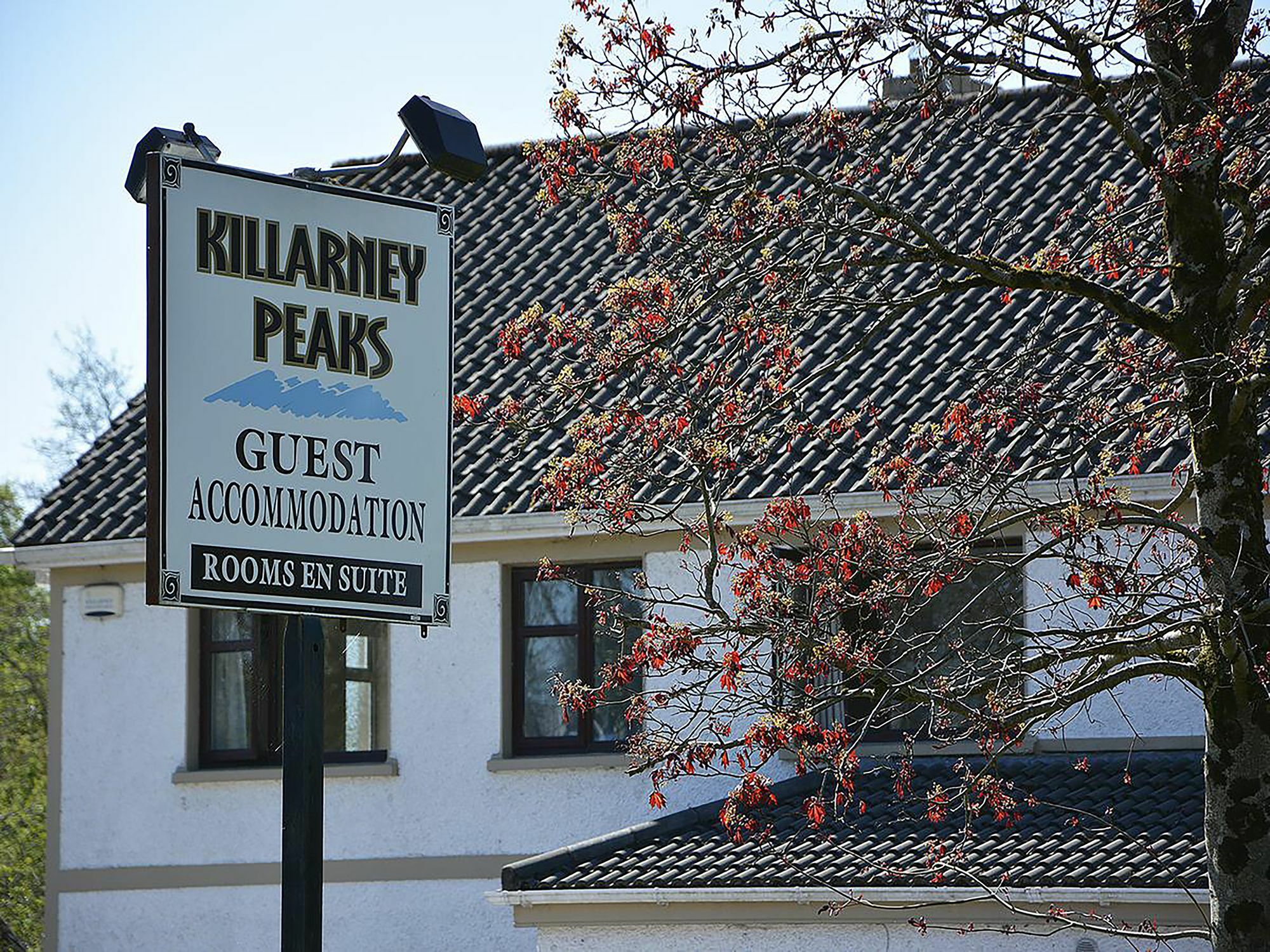 Killarney Peaks Guesthouse Eksteriør billede
